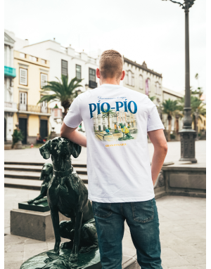 CAMISETA PLAZA SANTA ANA