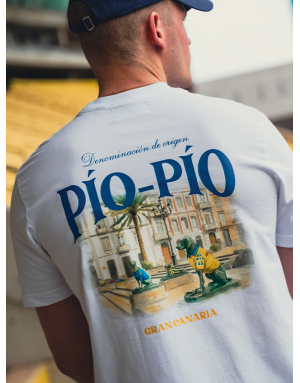 CAMISETA PLAZA SANTA ANA