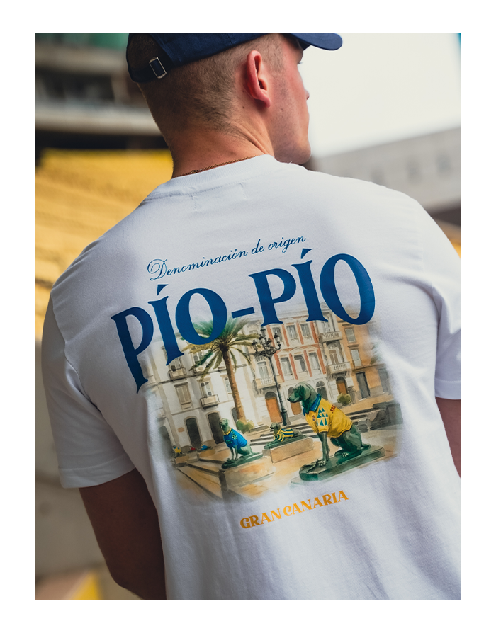 CAMISETA PLAZA SANTA ANA